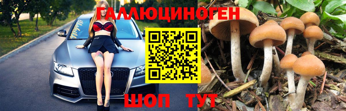 Псилоцибиновые грибы Psilocybe  Вход с VPN  Надым 